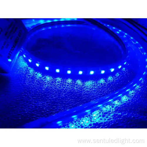 Dimmable SMD5050 RGB Color Strip for Palm Tree